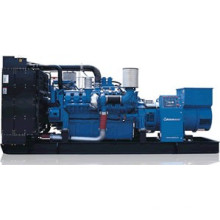 1000kVA Mtu Generador Diesel